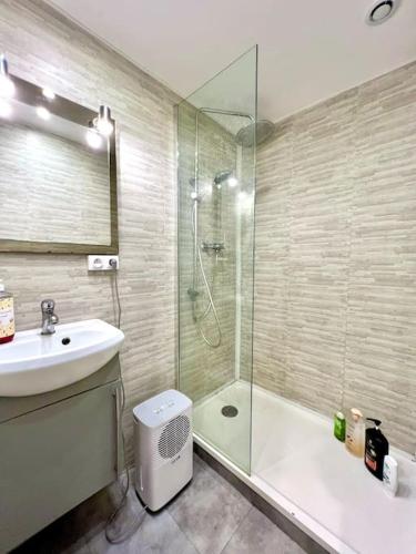 une salle de bain avec une douche, un lavabo et des toilettes dans l'établissement Studio quartier prisé des Carmes, à Toulouse