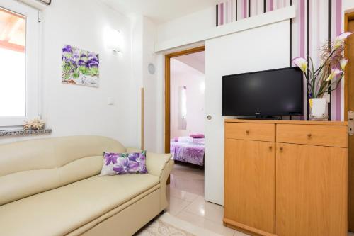 Μια τηλεόραση ή/και κέντρο ψυχαγωγίας στο APARTMANI I SOBA ROBERTO I MIRJANA