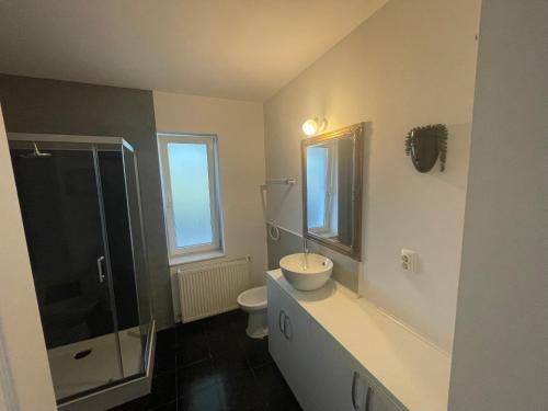 a bathroom with a toilet and a sink and a shower at Residence Casablanca in Cîrcea