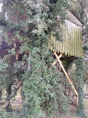 Κήπος έξω από το Cabane perchée de Lys dans les chênes verts et le micocoulier