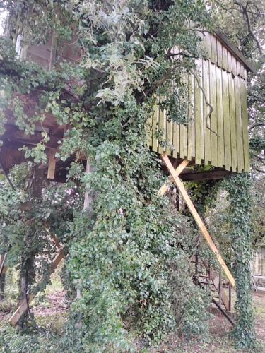 una casa en el árbol está cubierta de hiedra en Cabane perchée de Lys dans les chênes verts et le micocoulier, en Argelliers