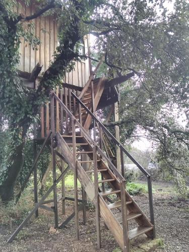una casa en un árbol con una escalera de madera en un árbol en Cabane perchée de Lys dans les chênes verts et le micocoulier, en Argelliers