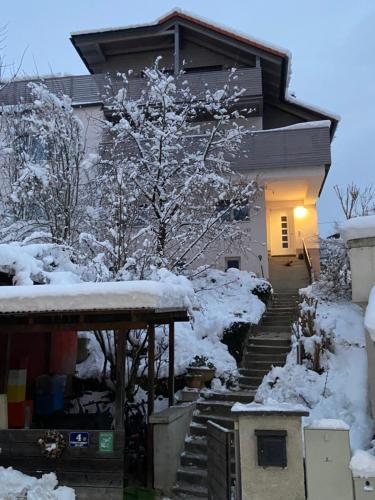 Villa Zaubertal Linz - Viel Raum - 86m2 für Familie, Natur & Arbeit nahe der Stadt