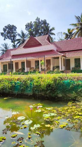 a house with a pond in front of it at The Royal Island in Munroe Island