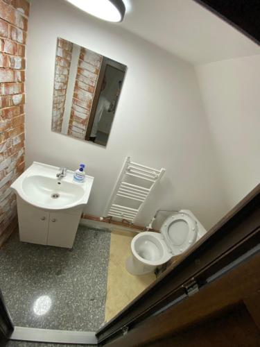 a bathroom with a sink and a toilet and a mirror at Bob’house in Vulcan