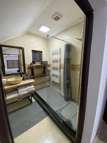 a bathroom with a shower and a sink and a mirror at Bob’house in Vulcan