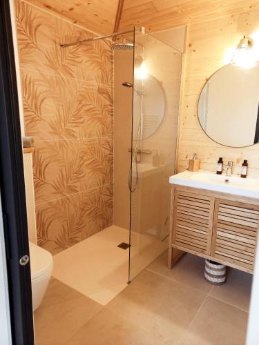 une salle de bain avec douche et lavabo dans l'établissement maisonette et spa bois, à La Bégude-de-Mazenc