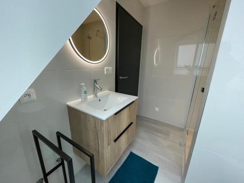 a bathroom with a sink and a mirror at Les Duplex Solaires in Duppigheim