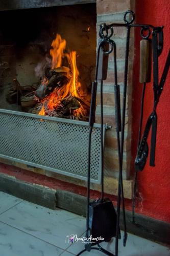 FINCA LOS OLIVOS – Photos 5