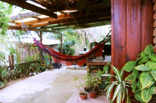 eine Hängematte, die von einem Gebäude mit Topfpflanzen hängt in der Unterkunft Arcadio Hostel Punta del Diablo in Punta Del Diablo