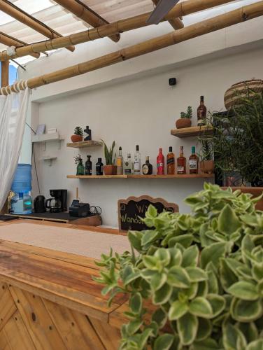 a room with a table and a bunch of plants at Wander Boutique Hotel in El Paredón Buena Vista