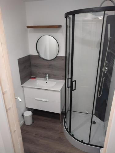 une salle de bain avec une douche, un lavabo et un miroir dans l'établissement T4 Prado vélodrome plage 3 chambres, à Marseille