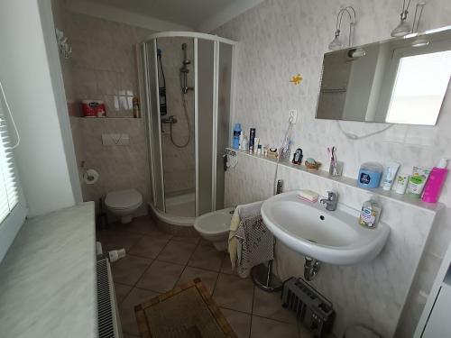a bathroom with a sink and a shower and a toilet at 3 pokoje v rodinném domě, sdílená kuchyně s hostitelkou (homestay) in Samotíšky