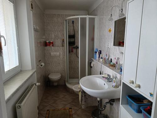 a bathroom with a sink and a shower and a toilet at 3 pokoje v rodinném domě, sdílená kuchyně s hostitelkou (homestay) in Samotíšky