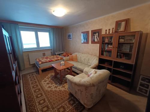 a living room with a couch and a table at 3 pokoje v rodinném domě, sdílená kuchyně s hostitelkou (homestay) in Samotíšky