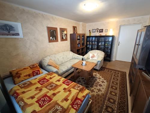 a living room with a couch and a table at 3 pokoje v rodinném domě, sdílená kuchyně s hostitelkou (homestay) in Samotíšky