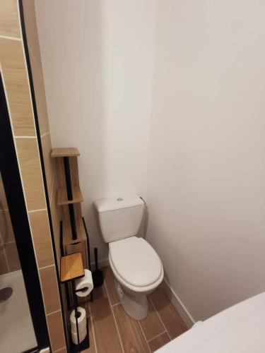 a small bathroom with a toilet and a shower at La Monaco du Nord in Granville