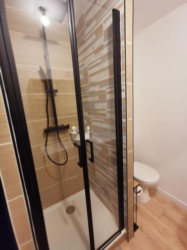 a shower stall with a toilet in a bathroom at La Monaco du Nord in Granville