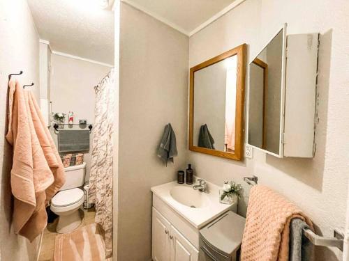een badkamer met een wastafel, een toilet en een spiegel bij New 1BR Apartment in Heart of Downtown Pueblo! in Pueblo