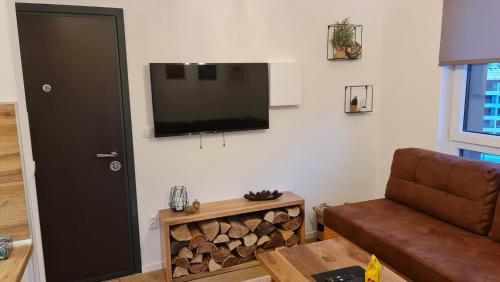 sala de estar con sofá y TV de pantalla plana en la pared en Apartmani Šišarka Jahorina, en Jahorina
