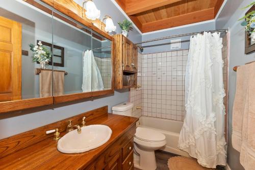 a bathroom with a sink and a toilet and a mirror at 140 - Kaisers Cozy Cabin in Big Bear Lake