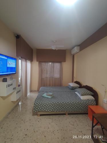 a bedroom with a bed and a flat screen tv at Elena Apartmen in Larnaka