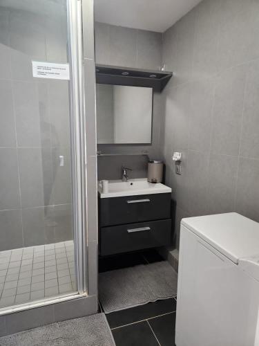une salle de bain avec une douche, un lavabo et un miroir dans l'établissement Bel Appartement en bord de mer, à Le Touquet-Paris-Plage