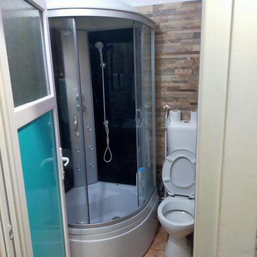 W łazience znajduje się toaleta i przeszklony prysznic. w obiekcie Vila ELENA Ap 1 w Bukareszcie