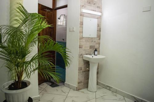 a bathroom with a sink and a potted plant at Missy Hidden gem in Mombasa