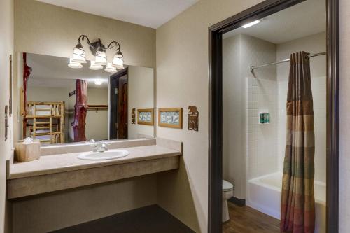 ein Badezimmer mit einem Waschbecken, einer Badewanne und einer Dusche in der Unterkunft Stoney Creek Hotel Moline in Moline