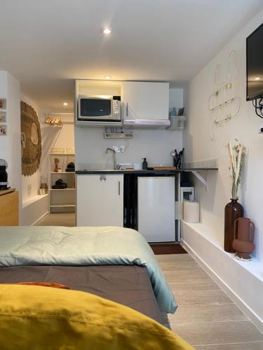 a room with a bed and a kitchen with a microwave at Le Petit Studio in Avignon