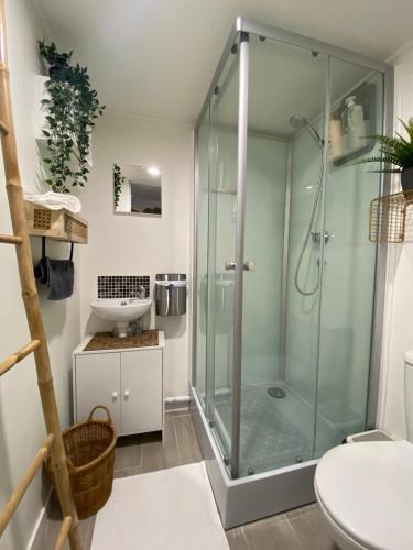 a bathroom with a glass shower and a sink at Le Petit Studio in Avignon