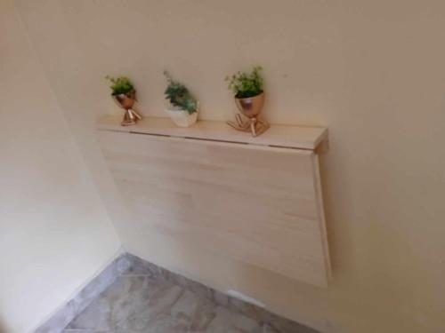 three potted plants sitting on a shelf in a room at Logement Petit Studio Salazamay Tamatave Madagascar in Toamasina