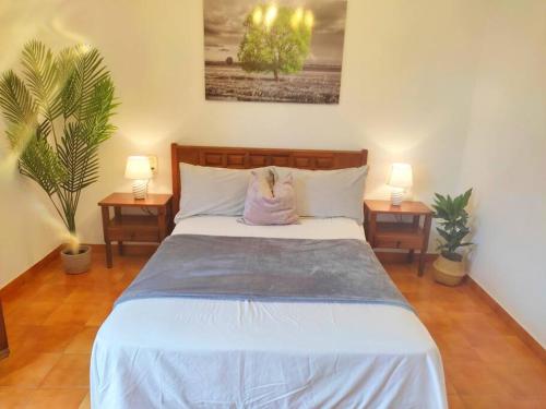 En eller flere senge i et værelse på Masia Altafulla