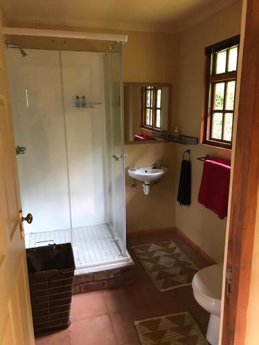 a bathroom with a shower and a sink and a toilet at Acorn Log Home in Port Elizabeth