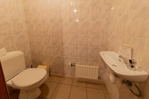 uma casa de banho com um WC e um lavatório em Sol Battire em Brisy