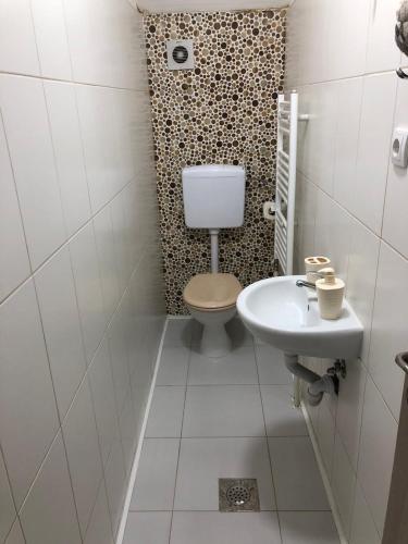 パレにあるApartman_Alexのトイレと洗面台付きのバスルーム