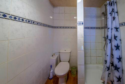 a bathroom with a toilet and a shower at Les Bucherons in Awenne