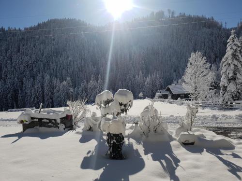 Alpenloft Theresia en invierno