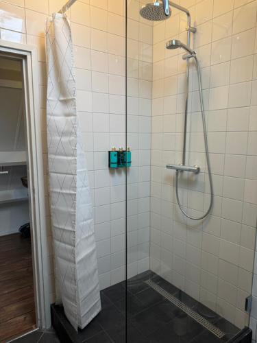 eine Dusche mit Duschvorhang im Bad in der Unterkunft Casa Sophie in Giethoorn