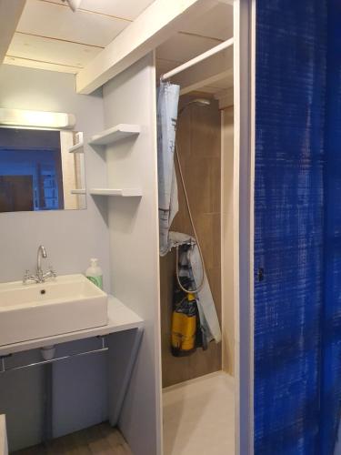 une salle de bain avec un lavabo et une douche dans l'établissement Appartement Eaux-Bonnes, à Eaux-Bonnes