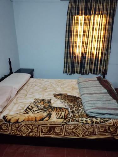 a bed with a tiger print blanket and a window at CASA EN TAFI DEL VALLE ZONA LA ANGOSTURA in San Miguel de Tucumán