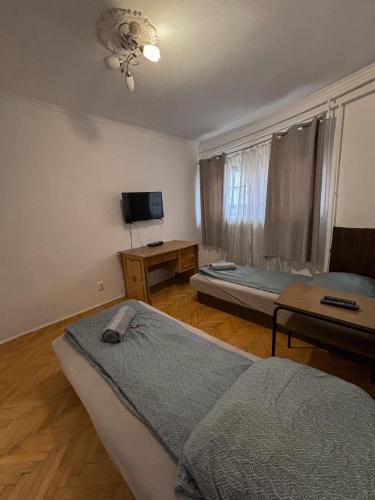 a living room with two beds and a television at Omega Apartman in Miskolc