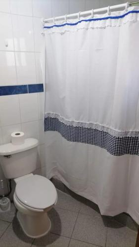 a bathroom with a toilet and a shower curtain at Apartamento 410 in Punta Arenas