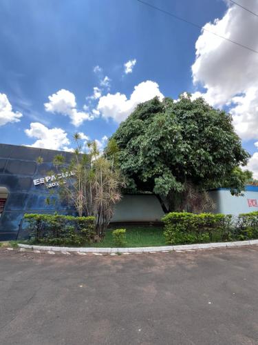 un árbol grande al lado de un edificio en Espacial Motel, en Araçatuba