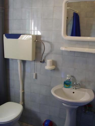 Petar Apartment