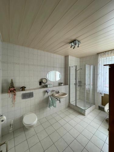 a bathroom with a shower and a toilet and a sink at Rheinhotel Kelch in Weißenthurm