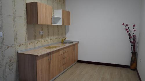 a kitchen with a counter and a sink in it at Hotel Muška voda in Kladanj