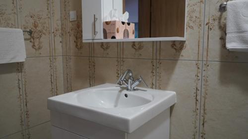 a bathroom with a white sink and a mirror at Hotel Muška voda in Kladanj