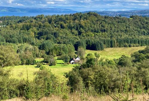 a house in the middle of a field with trees at Heronlea Cottage in Dunoon